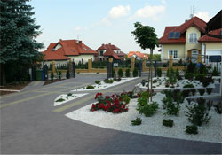 Szpakowscy - nasze rośliny